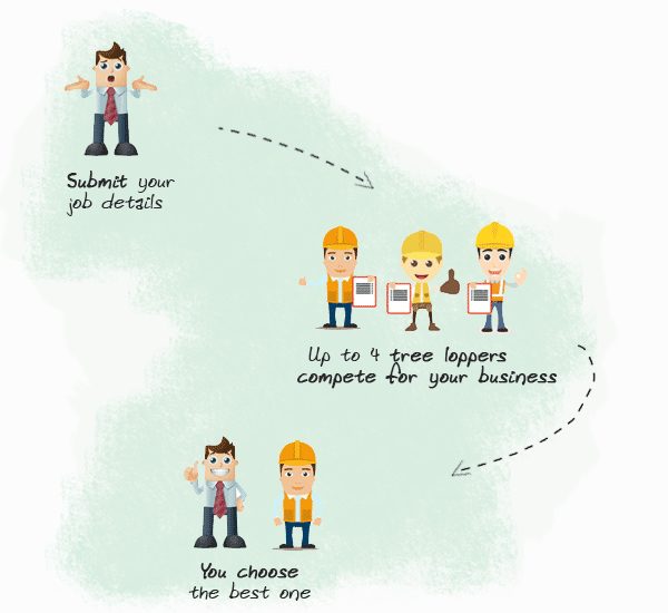 how it works - council regulations