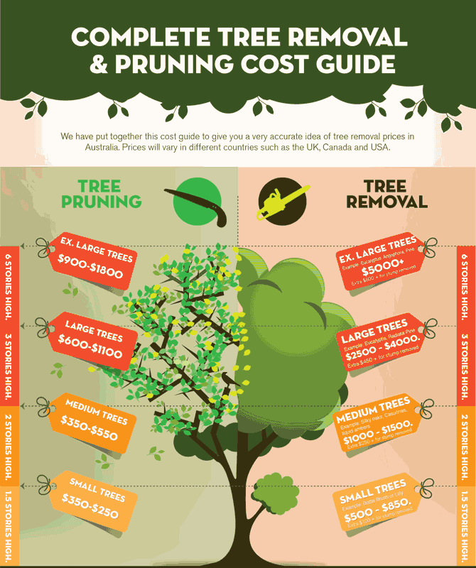 cheapest time for tree removal