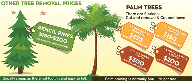 palms removal