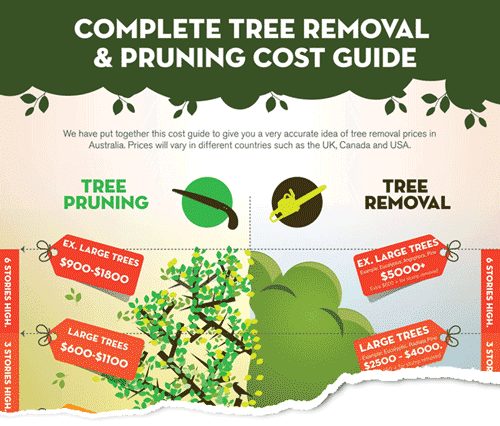 tree removal cost melbourne infograpgic tare