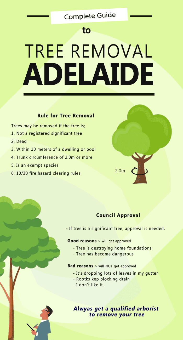 tree removal adelaide infographic