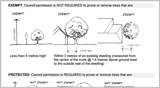 exempt trees for removal