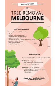 Cheap Tree Removal Melbourne (Compare Quotes)  Save > 43%