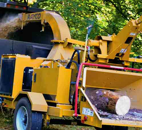 removal of tree waste