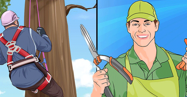 arborist-vs-gardener