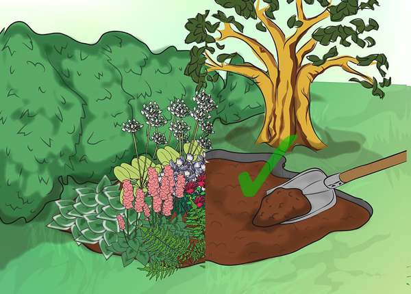 remove clutter from around tree