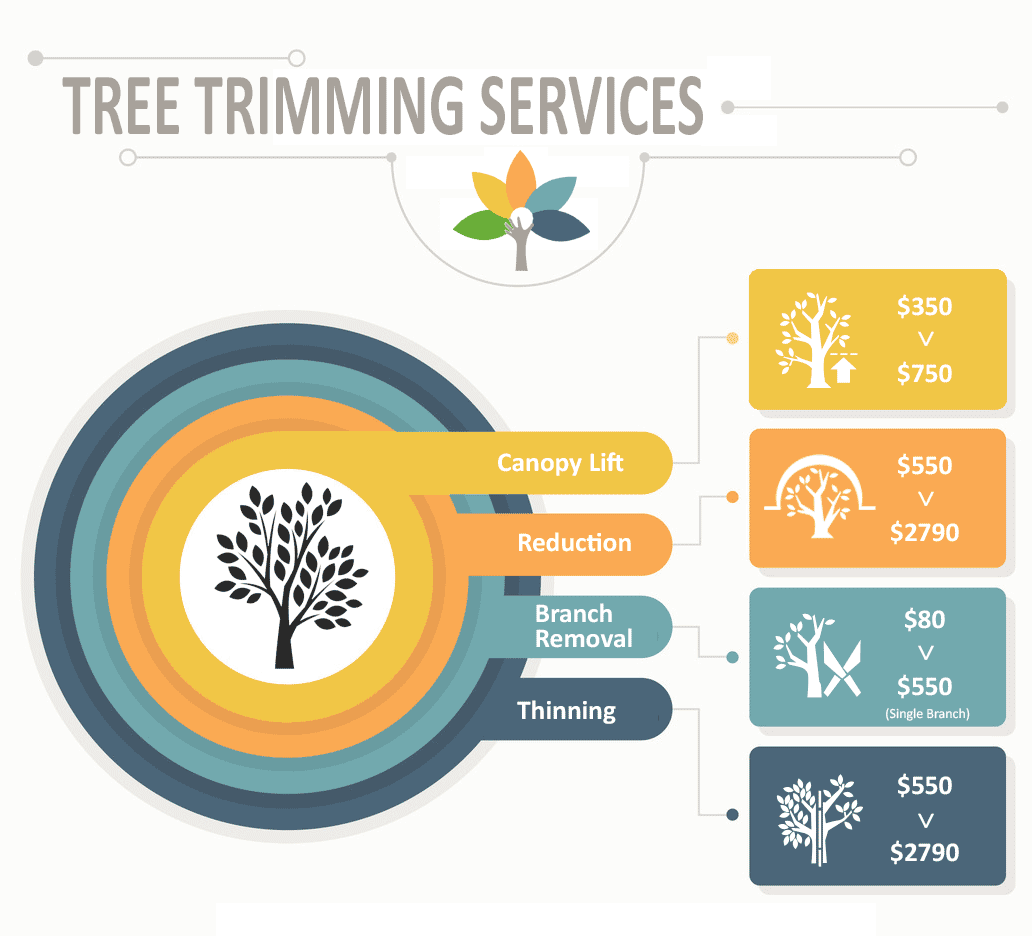 tree trimming service infographic