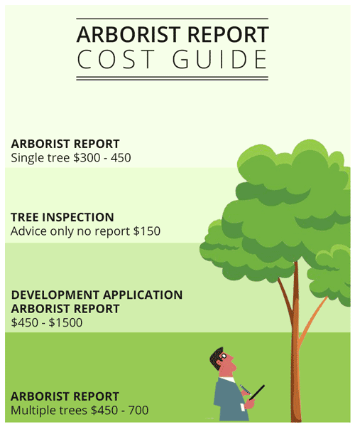 arborist-report-cost-guide