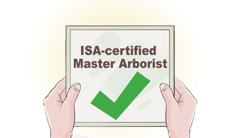 Arboriculture-qualifications