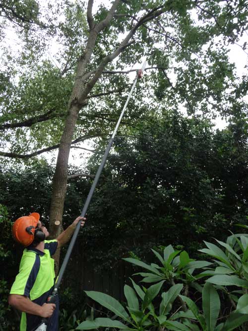 DIY large branch removal