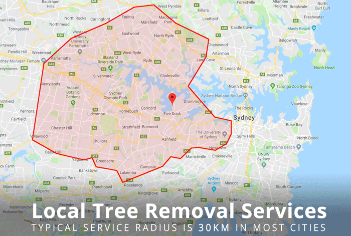 LOCAL-TREE-REMOVAL-SERVICE-RADIUS-30-KM