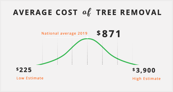 average-cost-of-tree-removal2