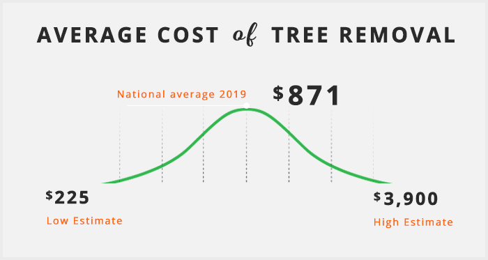 tree removal price range