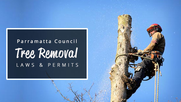 parramatta council tree removal laws and permit