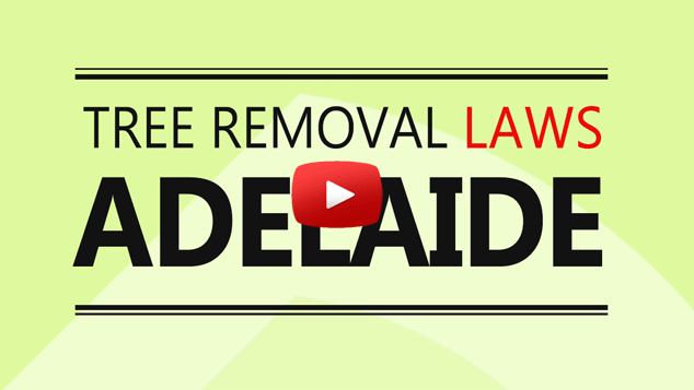tree removal laws adelaide video cover