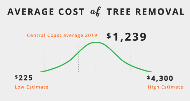 average-cost-of-tree-removal-central-coastNSW
