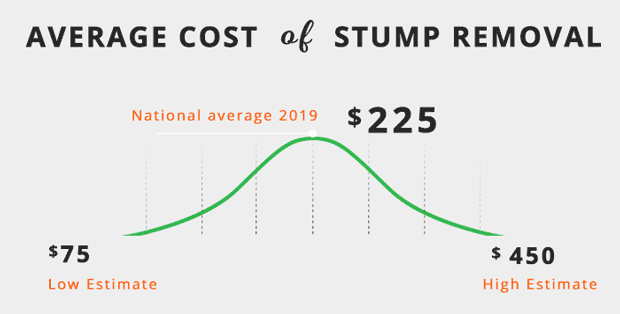 average-cost-of-tree-stump-removal