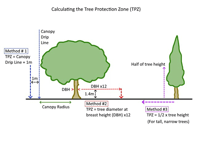 tree protection zones explained