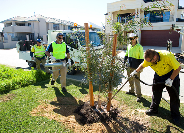 Act government launches tree restoration program