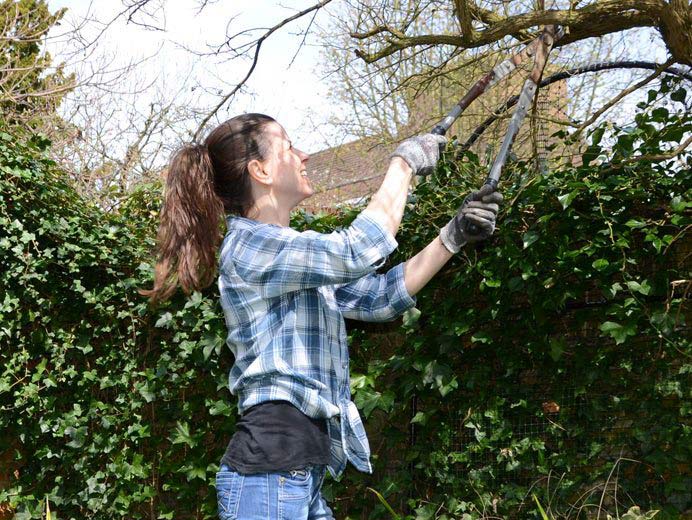 pruning neighbours overhanging trees