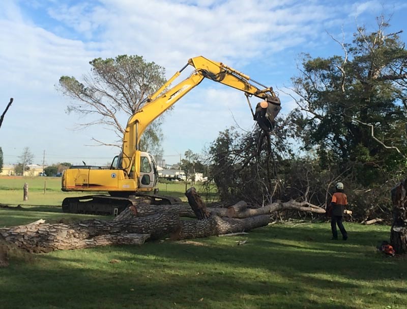 tree removal cessnock council an excavator