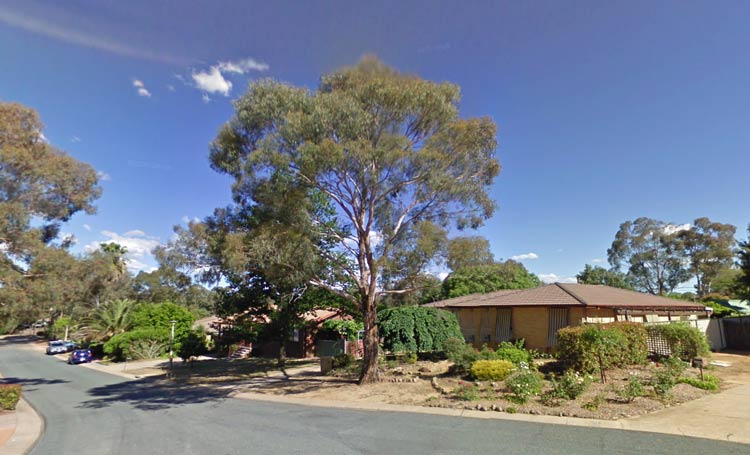 arborist services canberra ACT
