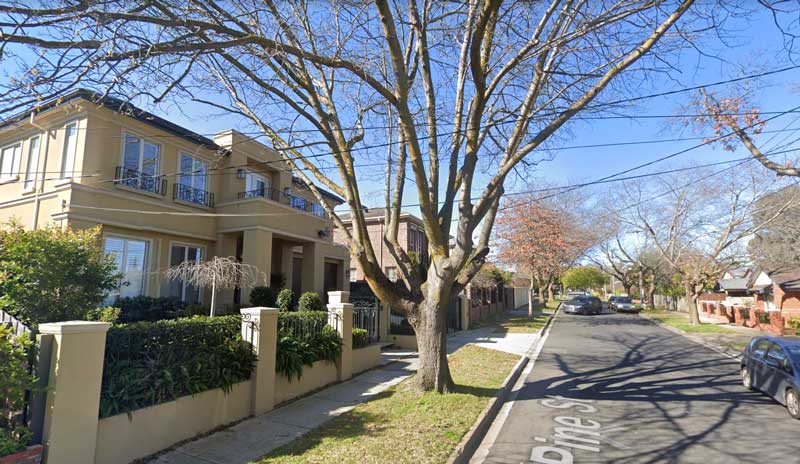 street tree overhanging private property Melbourne VIC