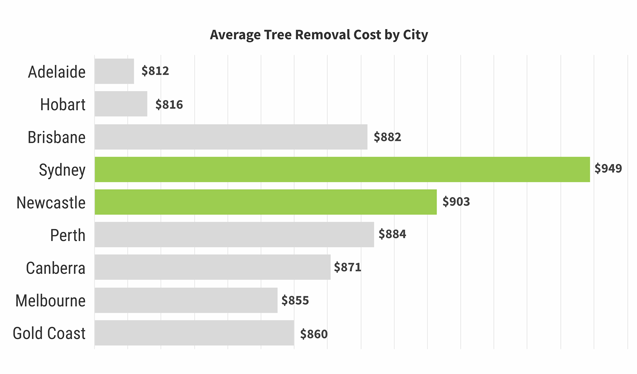Cost of tree removal by city