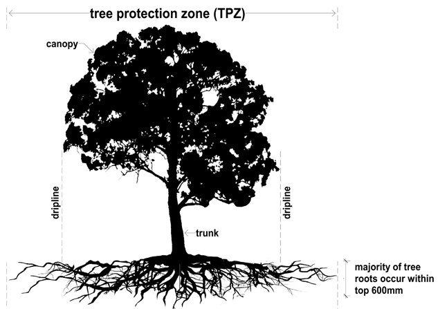 Components of a tree needing protection