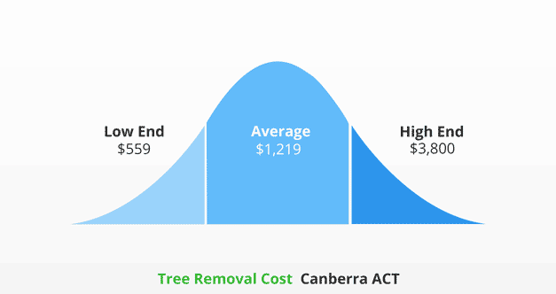 Cost-of-tree-removal-canberra-ACT-infographic