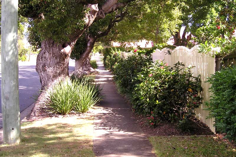 Can I trim or Remove Trees on the Nature Strip