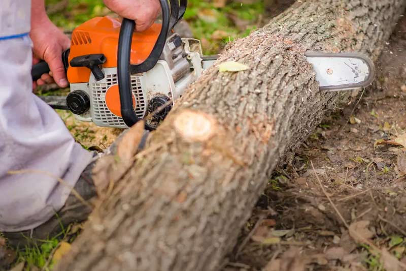 Can you make a neighbor cut his trees