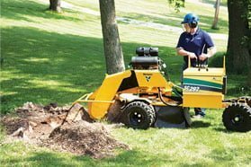 STUMP REMOVAL COST