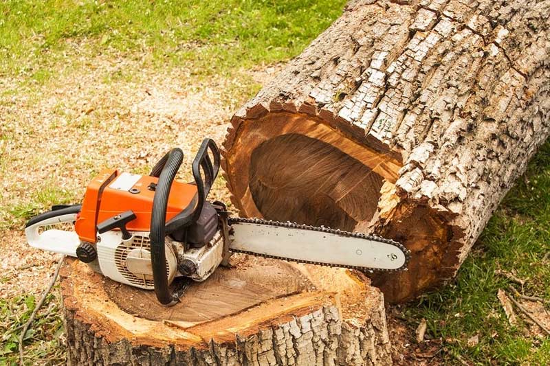 Stump Removal Sydney