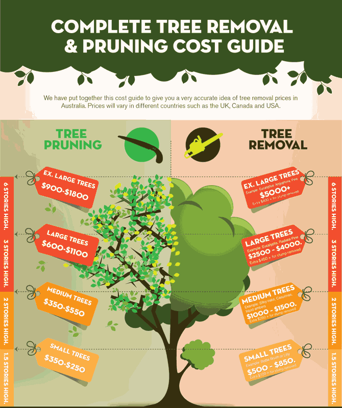 Tree Removal Cost infographic final 3