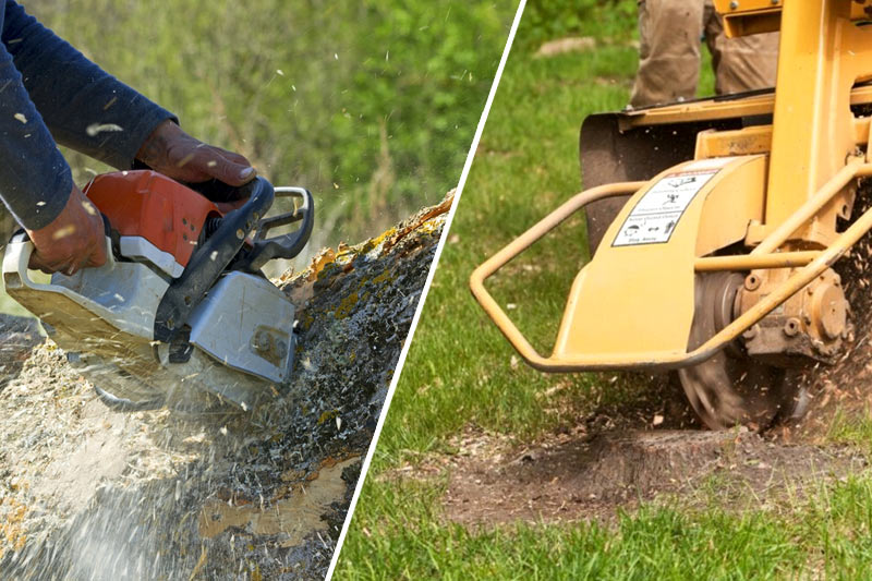 Which is better stump grinding or stump removal
