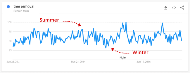 tree removal summer winter