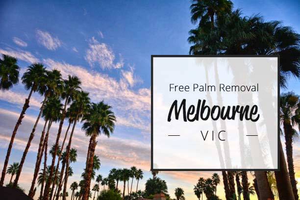 free palm tree removal melbourne