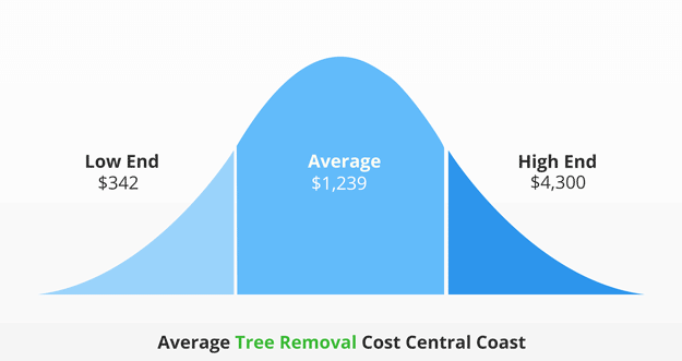 Average tree removal cost central coast