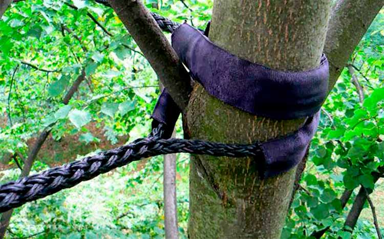 Cost Of Tree Cabling tree service