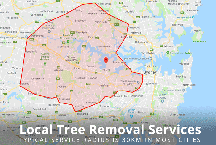 LOCAL TREE REMOVAL SERVICE RADIUS 30 KM