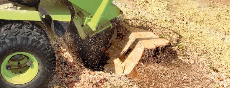 Stump removal with grinding machine