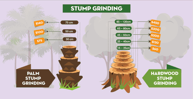 Tree Stump Cost infographic final 1
