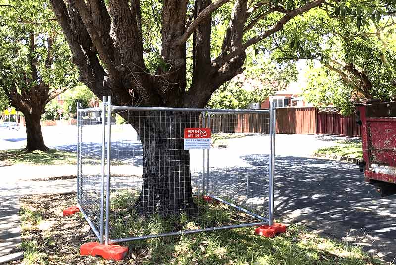 Tree protection zone