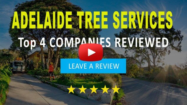 adelaide tree services reviewed video