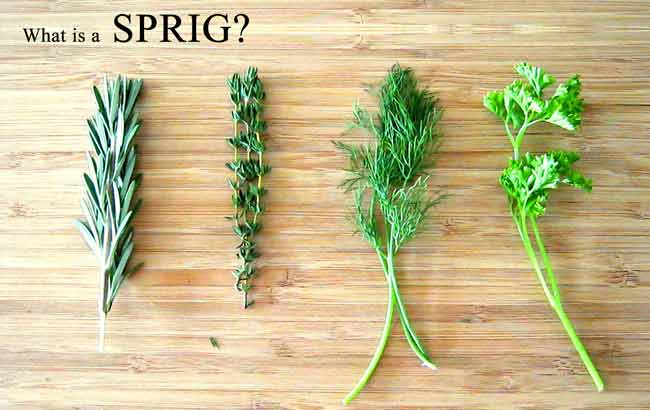 sprig