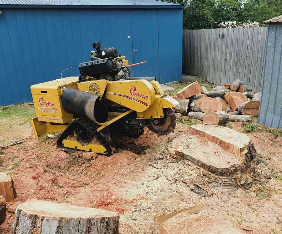 stump removal melbourne