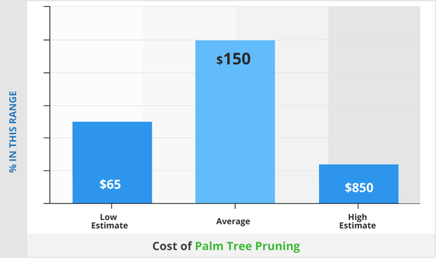 Cost of palm tree pruning