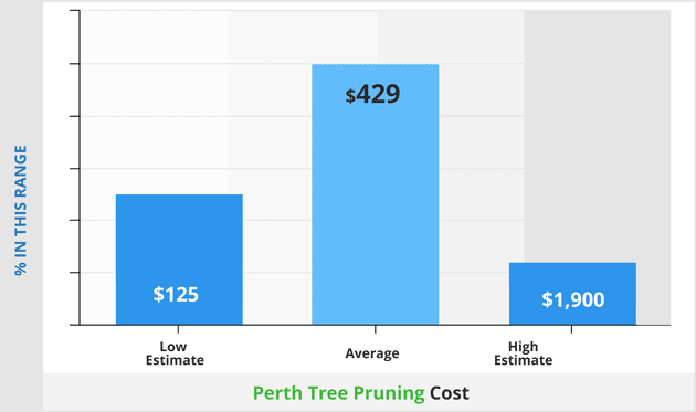 Perth tree pruning cost infographic