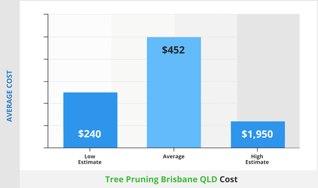 cost of brisbane tree pruning QLD